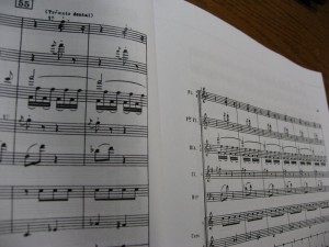 「卵の殻をつけた雛の踊り」