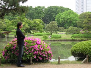 六義園を眺める 六義園を眺める